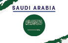 KSA2D20